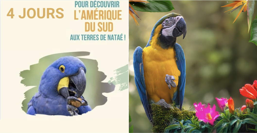 Week-end Amérique du Sud : une sortie famille immersive aux Terres de Nataé près de Lorient 