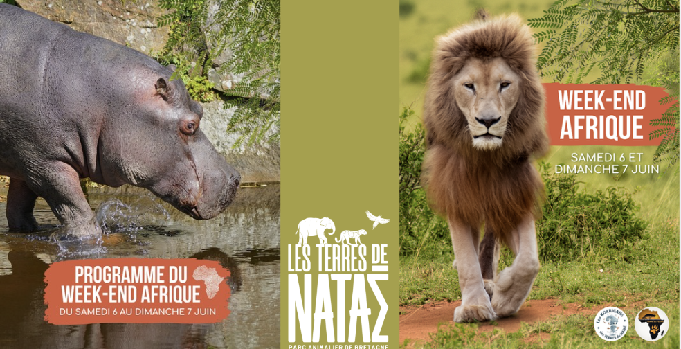 Weekend spécial félins d'Afrique - Les Terres de Nataé