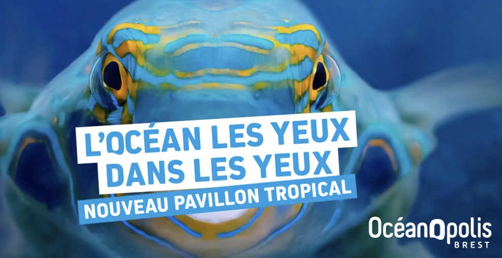 Réouverture du Pavillon Tropical à Océanopolis Brest : l’événement de l’été