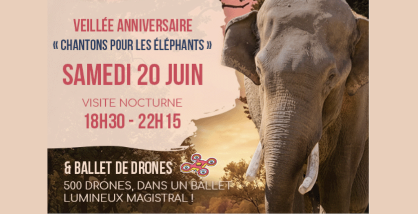 Soirée Événement aux Terres de Nataé : Céline Dion à Gagner et Spectacle de Drones !