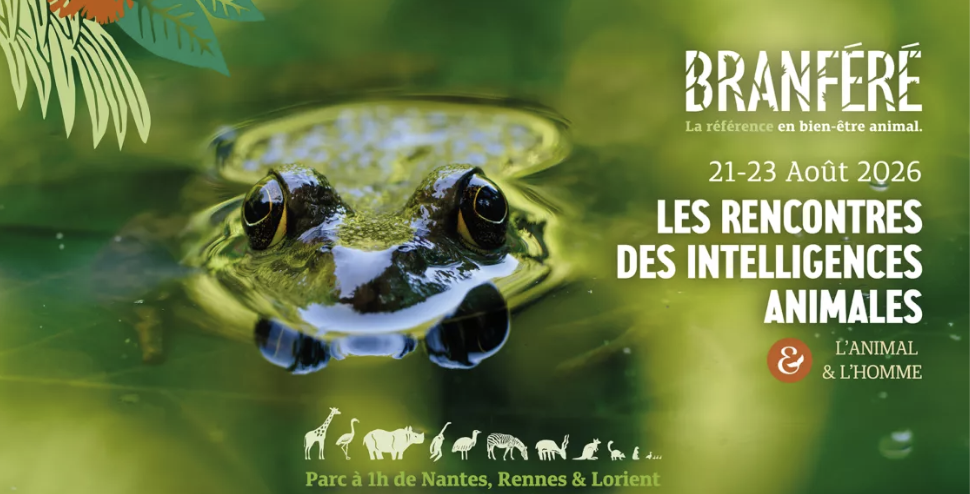 Événement "Rencontres des Intelligences Animales" – Parc animalier et botanique de Branféré, Le Guerno