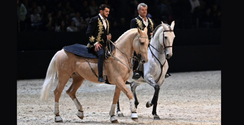 Spectacle équestre "Les 4 éléments"pour les vacances d'été au Haras National d’Hennebont