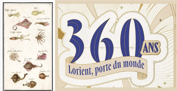 Herbiers marins à l’encre de Chine avec Lorène Rouleau à l'Hôtel Gabriel aile Est à Lorient