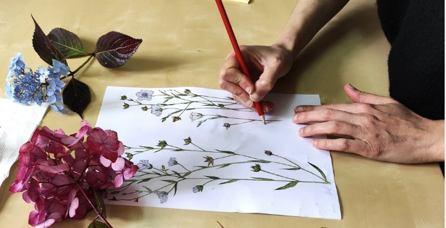 Atelier d'initiation au dessin botanique en famille au Domaine de Trévarez