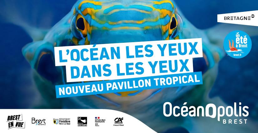 Que faire pour les vacances d'été à Brest avec les enfants ? Découvrez le nouveau pavillon tropical à Océanopolis !