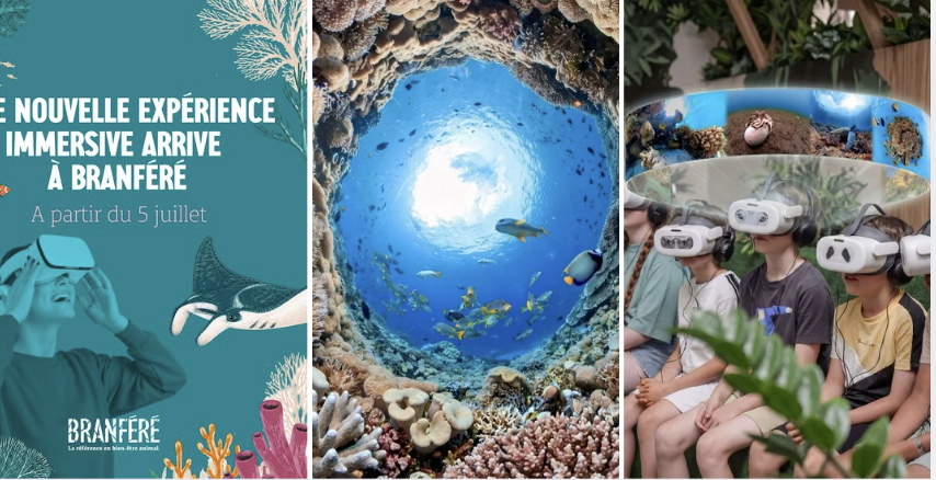 Parc de Branféré : Une expérience immersive en réalité virtuelle au cœur des océans
