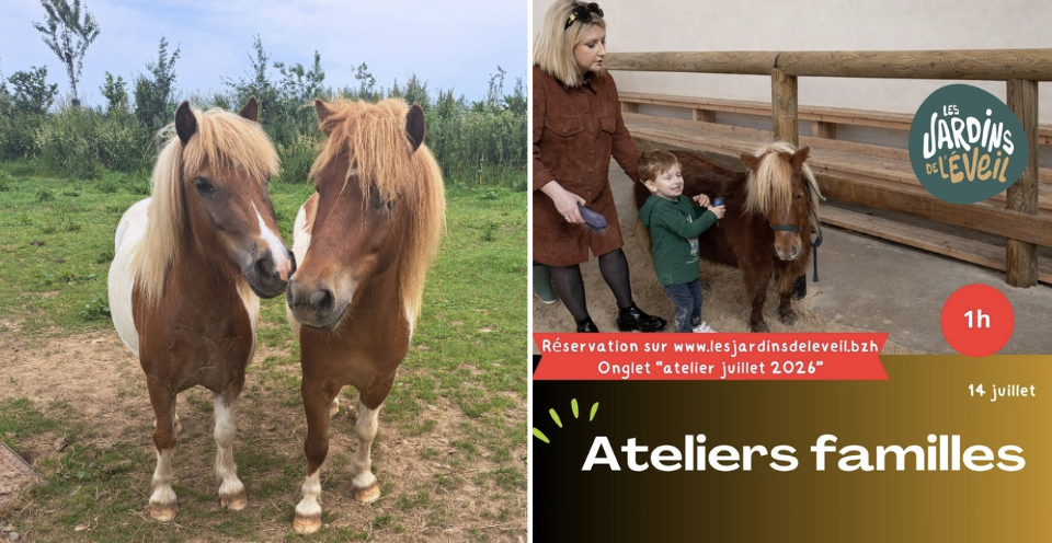 Ateliers famille découverte des poneys aux Jardins de l'Éveil à Saint-Thonan