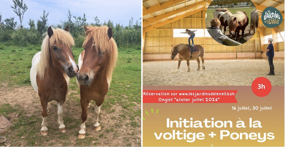 Stage d'initiation à la voltige et poneys aux Jardins de l'Éveil, à St-Thonan