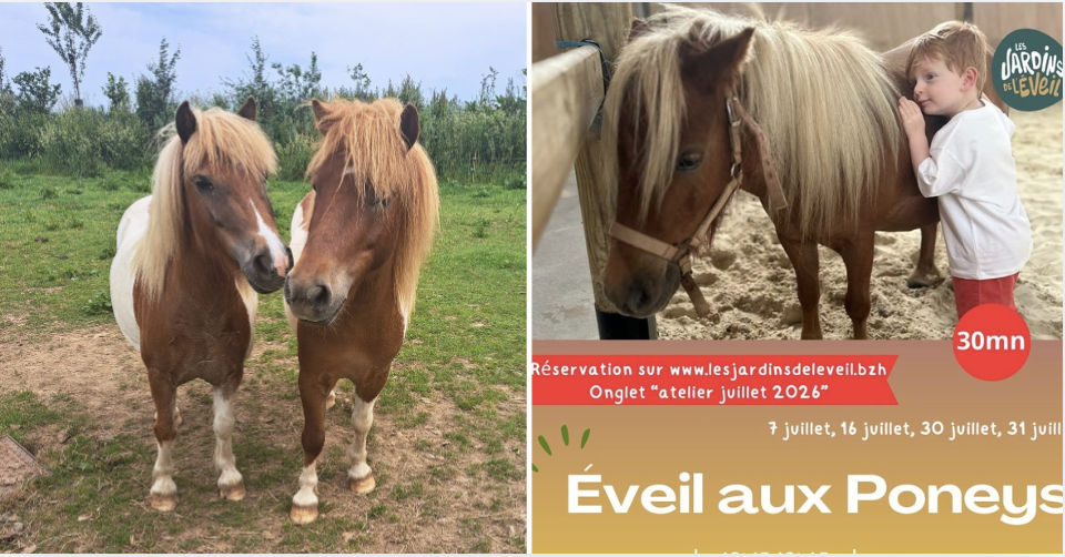 Atelier éveil au poney parent/enfants -4 ans aux Jardins de l'Éveil à Saint-Thonan