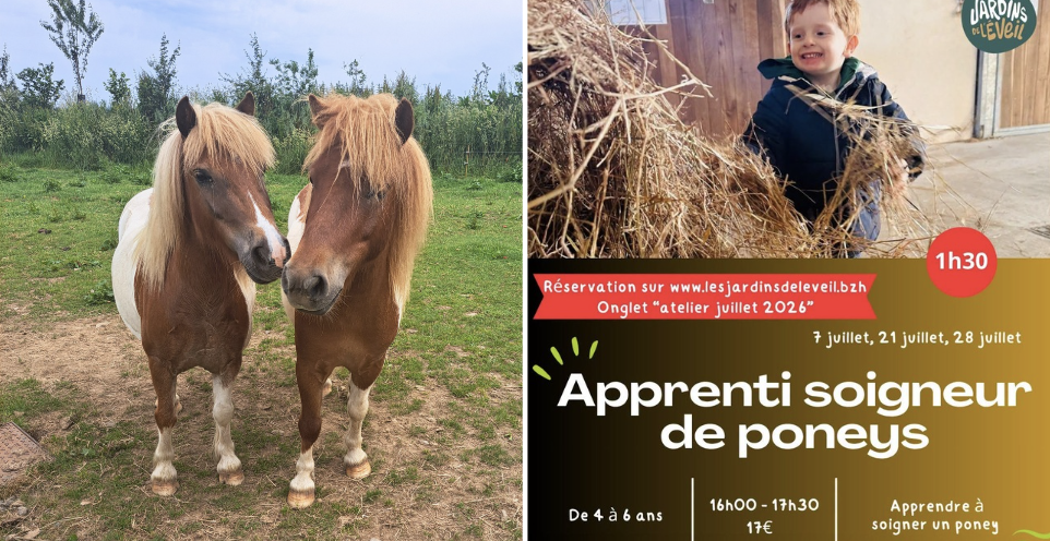 Apprenti soigneur de poneys pour les enfants 4-6 ans aux Jardins de l'Éveil à Saint-Thonan