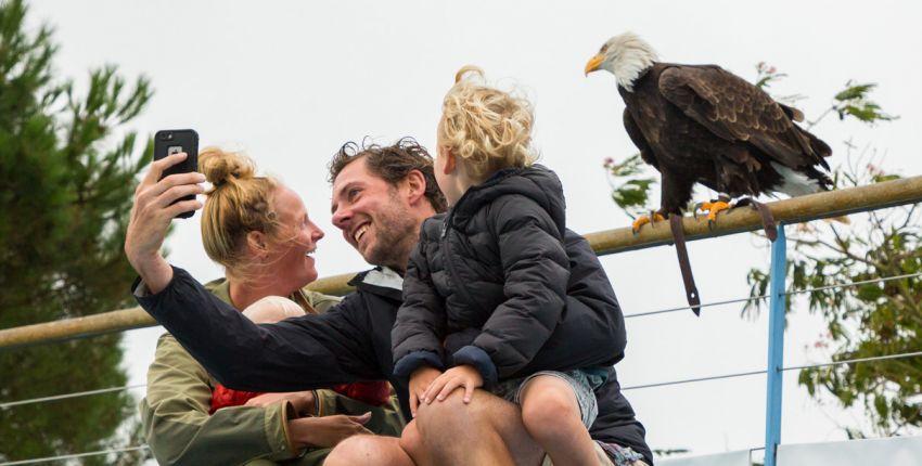 Les vacances d'été à l'Aquashow en famille à Audierne