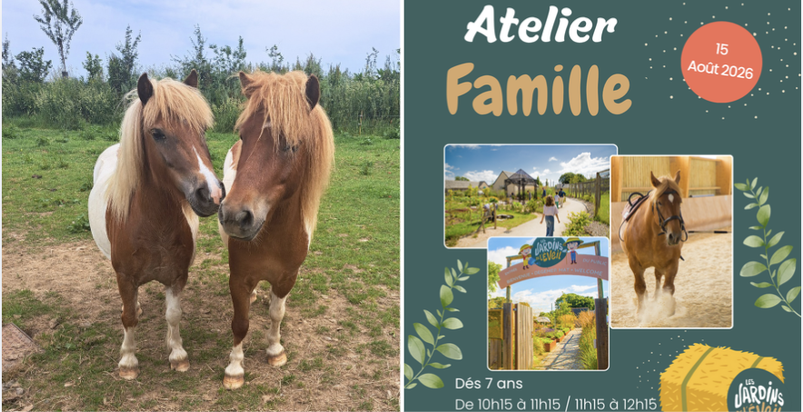 Ateliers famille découverte des poneys aux Jardins de l'Éveil à Saint-Thonan