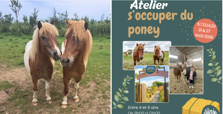 S'occuper du poney - Atelier nature pour enfants de 4 à 6 ans aux Jardins de l'Éveil à Saint-Thonan