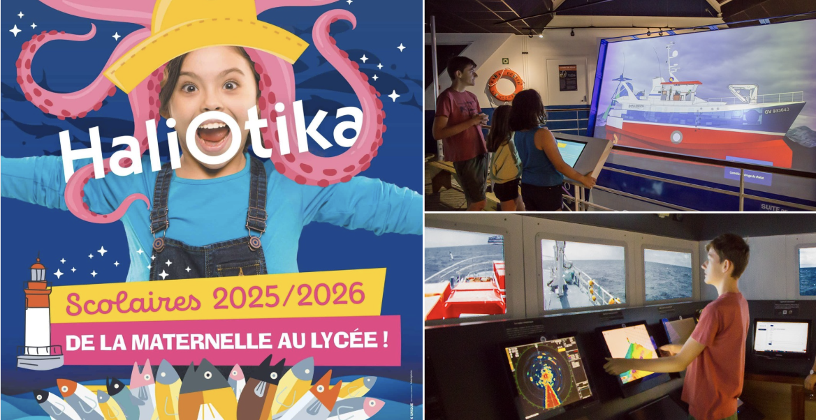 Sorties scolaires et groupes à Haliotika : cap sur la Cité de la Pêche au Guilvinec