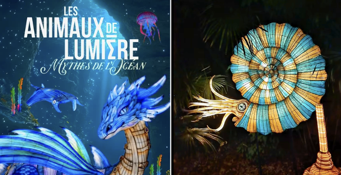 Les Animaux de Lumière aux Terres de Nataé : la féerie marine illuminera vos soirées cet automne !