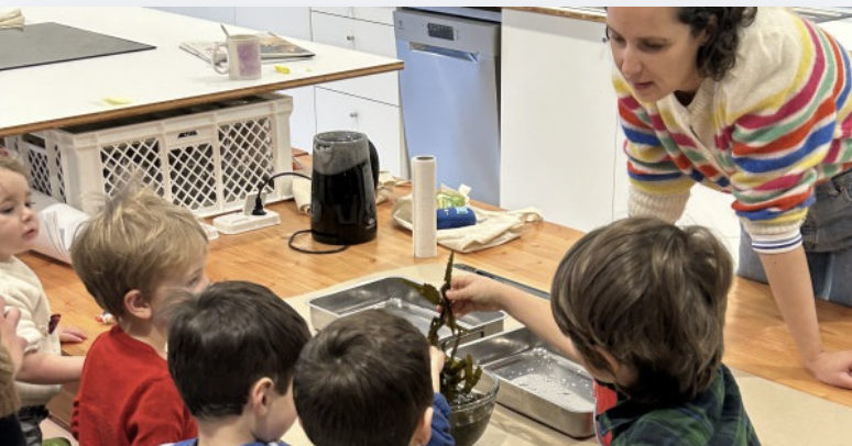 C'est quoi ces algues ? Atelier 7-10 ans - Fête de la science 2026 - Ostréapolis