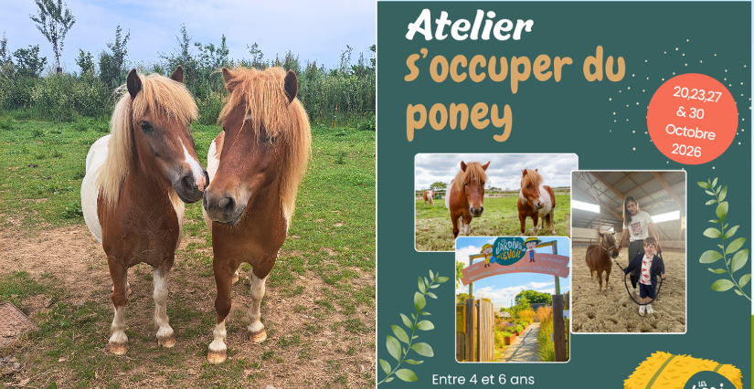 S'occuper du poney - Atelier nature pour enfants de 4 à 6 ans aux Jardins de l'Éveil à Saint-Thonan