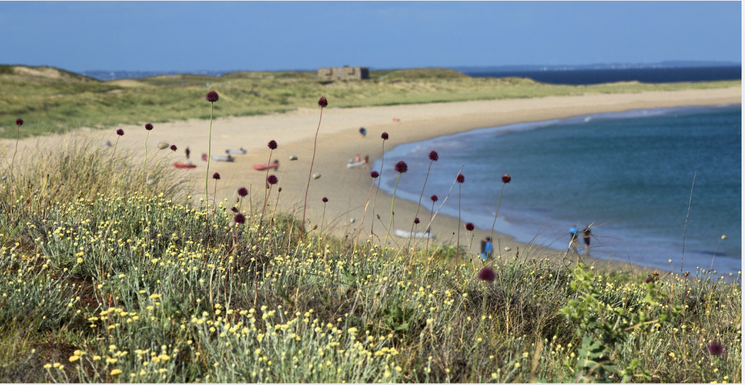 Visiter l’île de Houat en famille : une escapade nature et sans voiture avec BreizhGo Océane