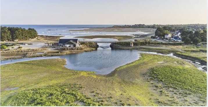 : Visite-découverte du littoral avec Evelyne Goubert (UBS)