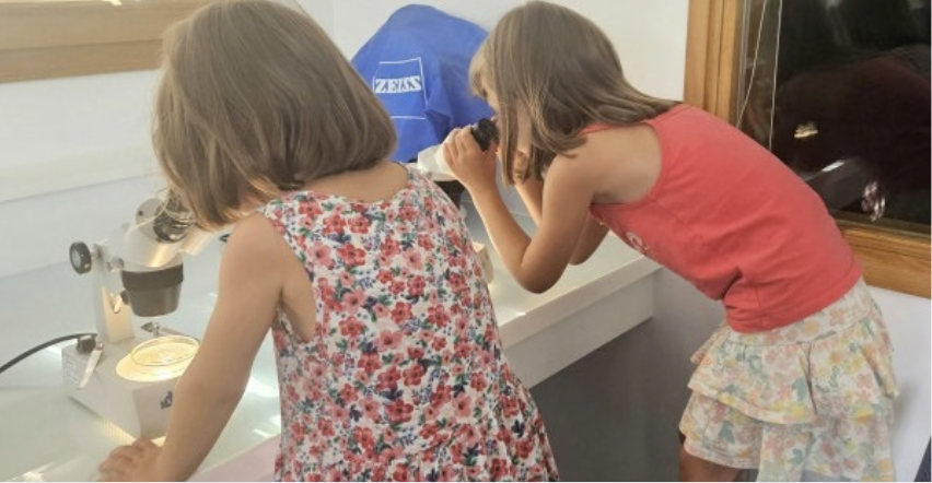 Le monde caché du plancton - Atelier 3-6 ans à Ostréapolis – Le Tour-du-Parc