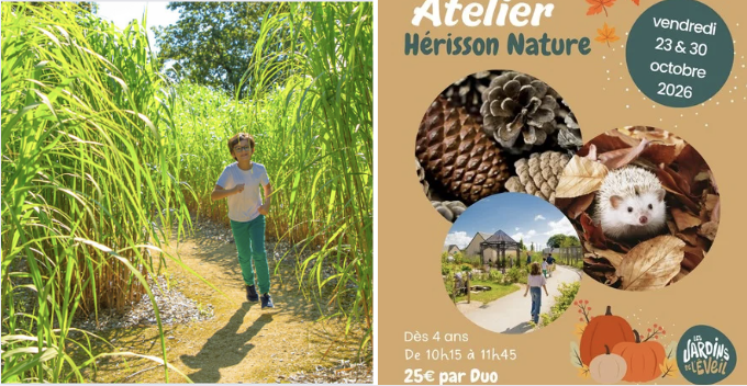 Hérisson nature - atelier créatif dès 4 ans aux Jardins de l'Éveil à Saint-Thonan Image