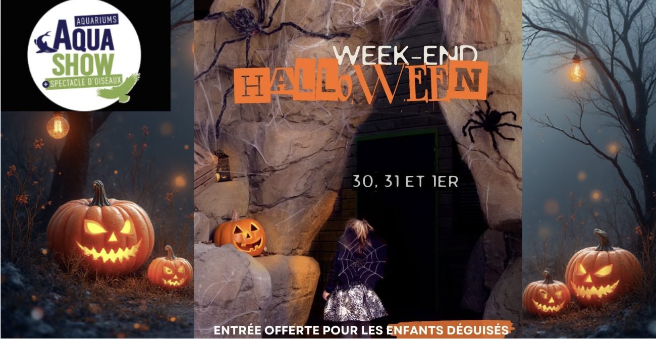 Halloween à l’Aquashow d’Audierne – Entrée Offerte pour les Enfants Déguisés !
