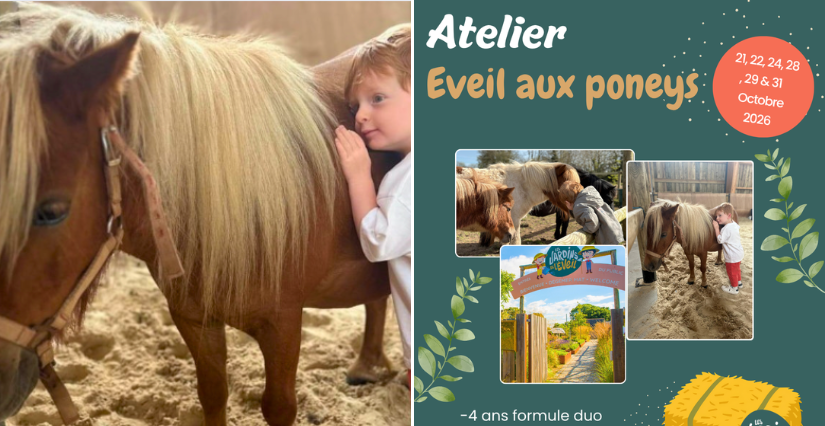 Eveil aux poneys pour les enfants de 2 à 4 ans aux Jardins de l'Éveil à St Thonan