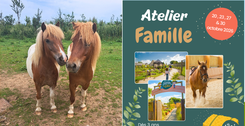 Ateliers famille découverte des poneys aux Jardins de l'Éveil à Saint-Thonan