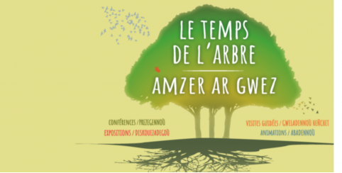 Le Temps de l'arbre : Festival en famille à Quimper