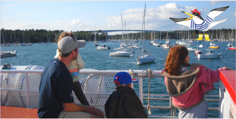 Livret-jeux Loopik pour les enfants de 3 à 12 ans sur les croisières des Vedettes de l'Odet