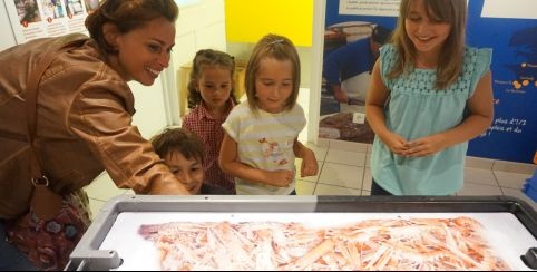 L'après-midi en folie à partager en famille à Haliotika Cité de la Pêche du Guilivinec