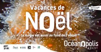 Les animations des vacances de noël pour plonger dans la magie de l'océan à Océanopolis