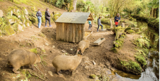 Sortie scolaire nature et groupes d’enfants aux Terres de Nataé, parc animalier de Bretagne Sud à Pont-Scorff 