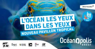 Que faire pour les vacances d'été à Brest avec les enfants ? Découvrez le nouveau pavillon tropical à Océanopolis !