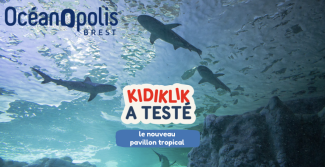Océanopolis : le nouveau pavillon tropical à découvrir en famille cet été