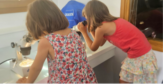 Sorties scolaires et groupes à Ostréapolis : immergez vos élèves dans le monde marin au Tour-du-Parc