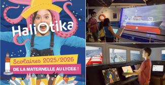 Sorties scolaires et groupes à Haliotika : cap sur la Cité de la Pêche au Guilvinec
